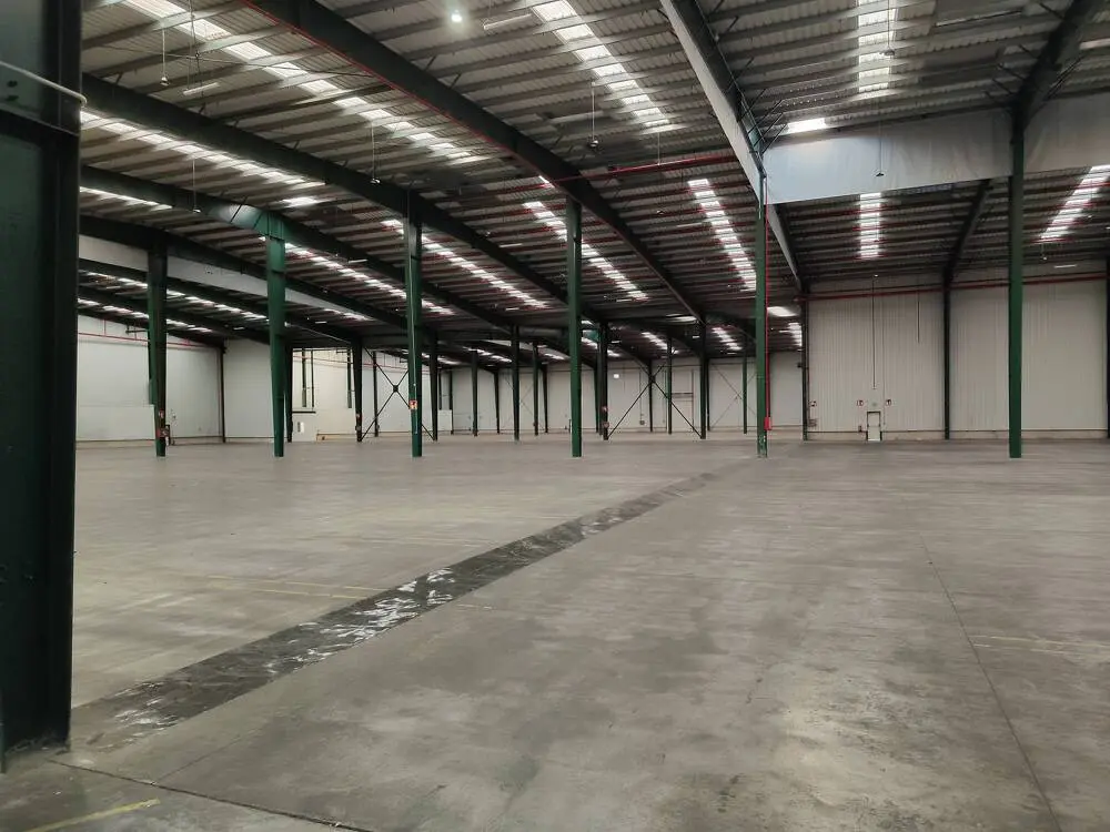 Logistics warehouse for rent of 16,259 m² - Azuqueca de Henares, Guadalajara. 12